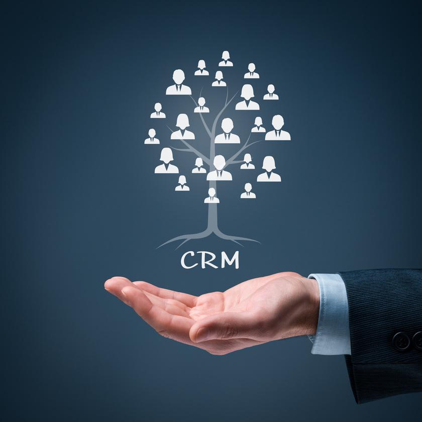 CRM relationship tree graphic above an open hand